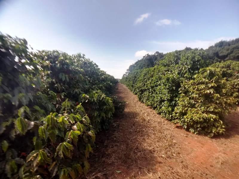 Fazenda, Zona Rural, 0 Quarto, 0 Vaga