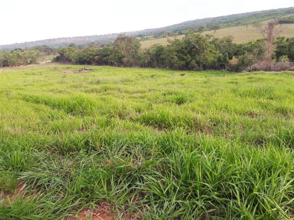 Fazenda, Centro, 4 Quartos, 2 Vagas