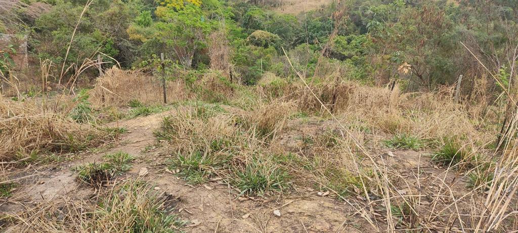 Lote, Santa Maria, 0 Quarto, 0 Vaga