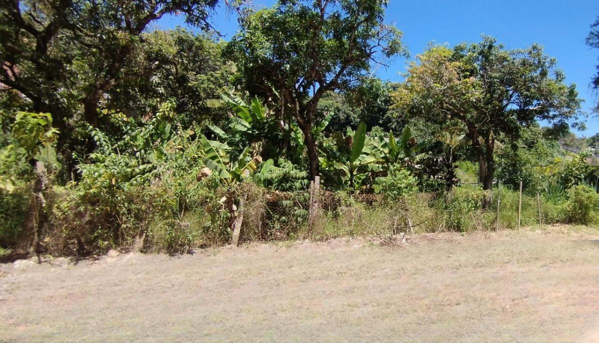 Lote, Solar do Madeira, 0 Quarto, 0 Vaga
