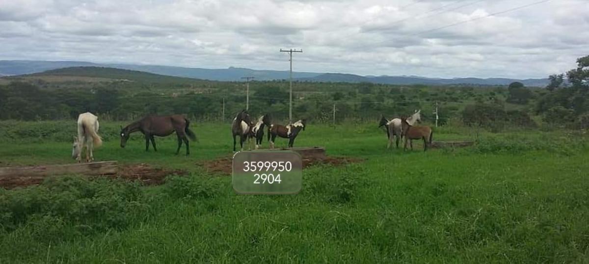 Fazenda, Zona Rural, 0 Quarto, 0 Vaga