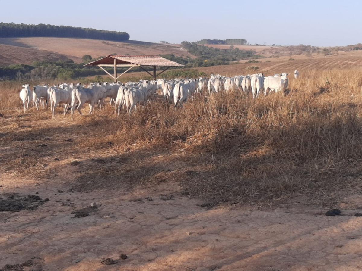 Fazenda, Zona Rural, 3 Quartos, 0 Vaga