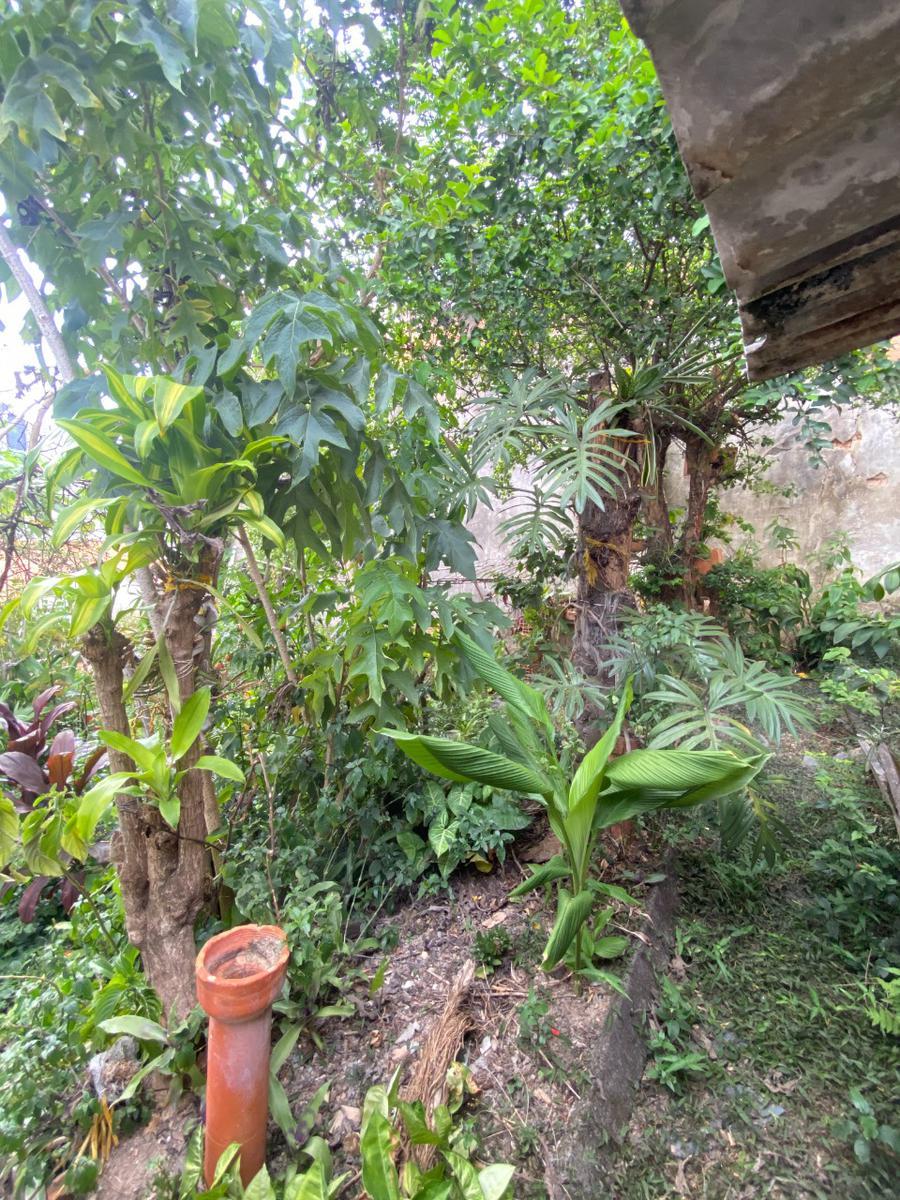 Casa, Sagrada Família, 3 Quartos, 2 Vagas