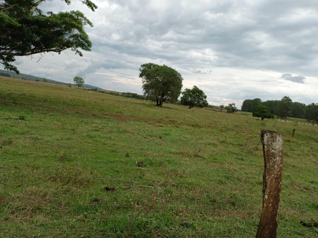 Fazenda, Zona Rural, 0 Quarto, 0 Vaga