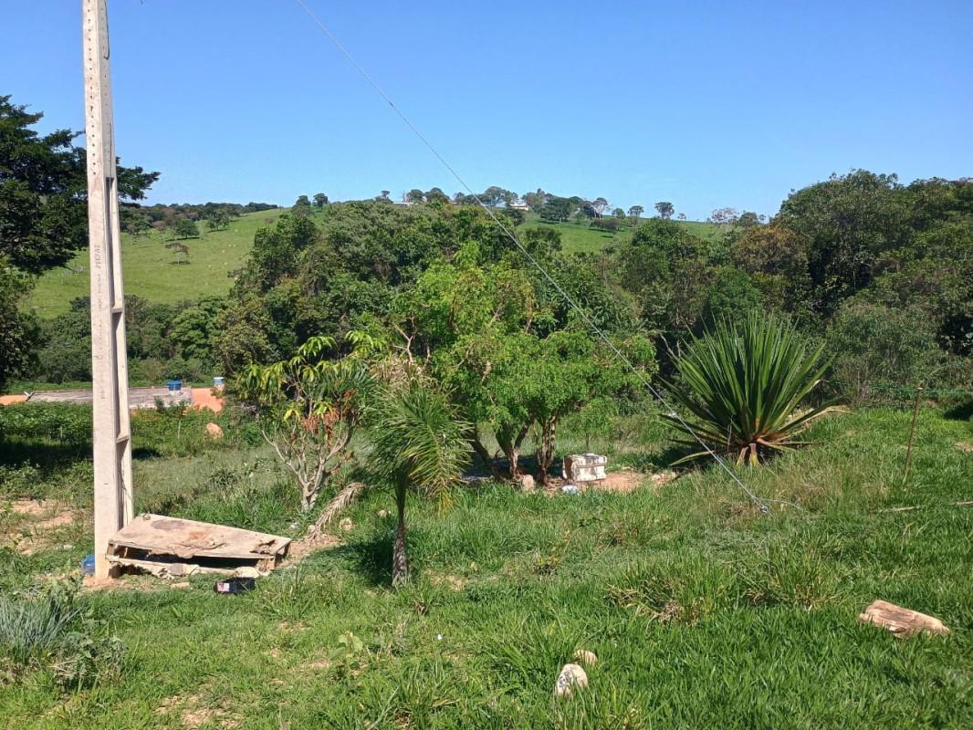 Fazenda, Centro, 0 Quarto, 0 Vaga