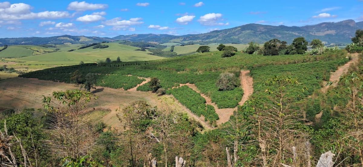 Fazenda, Zona Rural, 0 Quarto, 0 Vaga