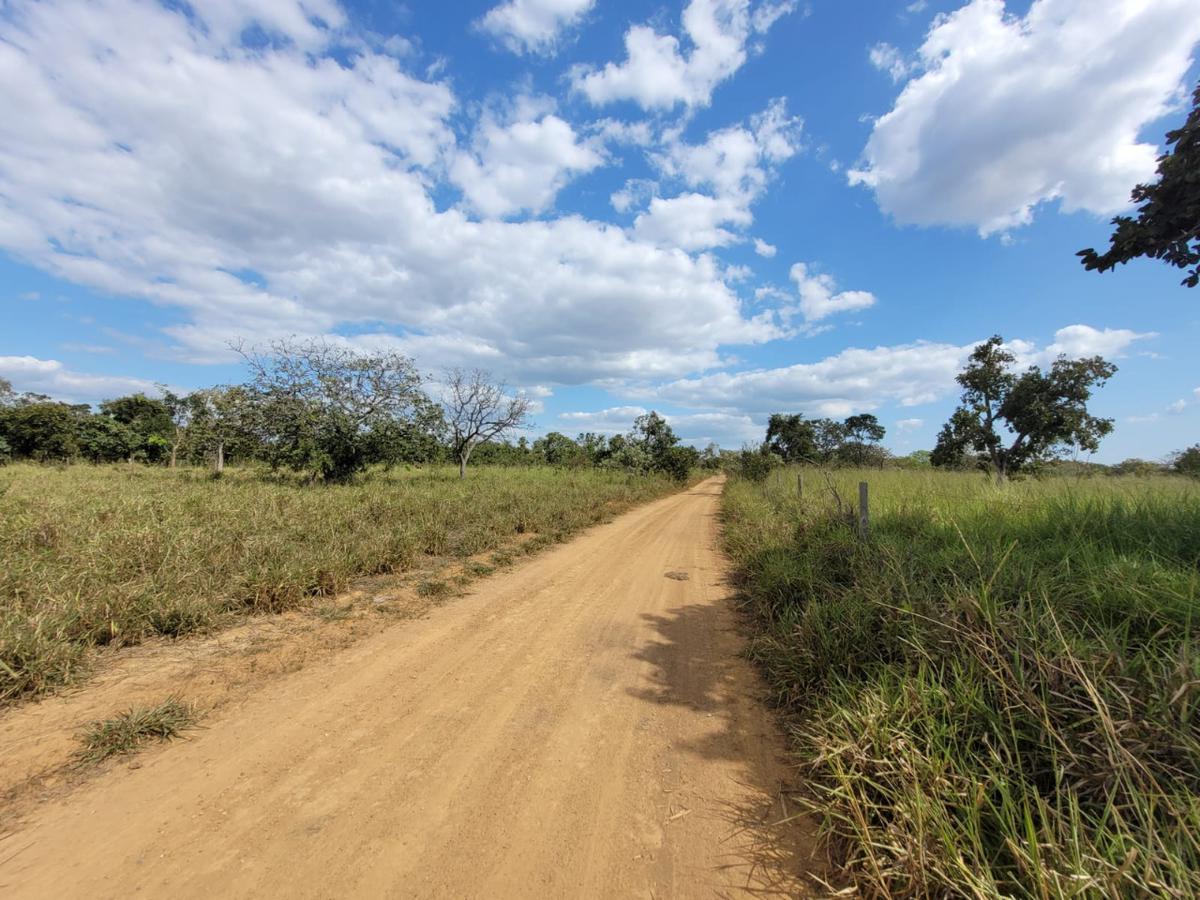 Fazenda, Centro, 0 Quarto, 0 Vaga, 1 Suíte