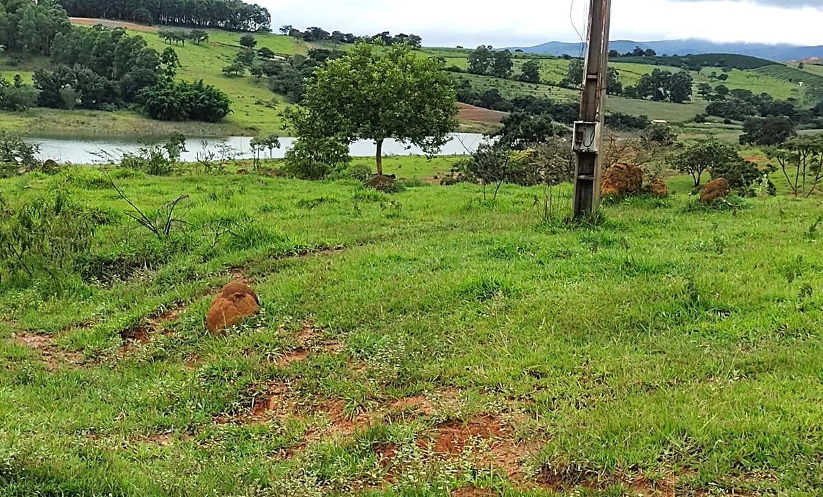 Fazenda, Zona Rural, 0 Quarto, 0 Vaga