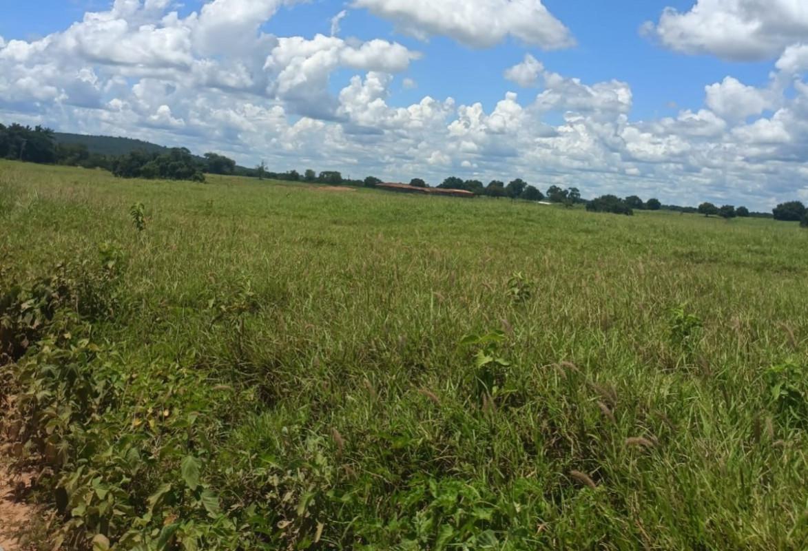 Fazenda, Zona Rural, 0 Quarto, 0 Vaga