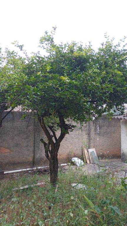 Casa, Nossa Senhora de Fátima, 4 Quartos, 0 Vaga