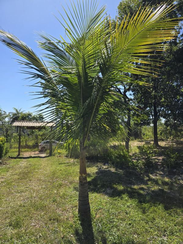 Fazenda, Centro, 4 Quartos, 10 Vagas, 2 Suítes
