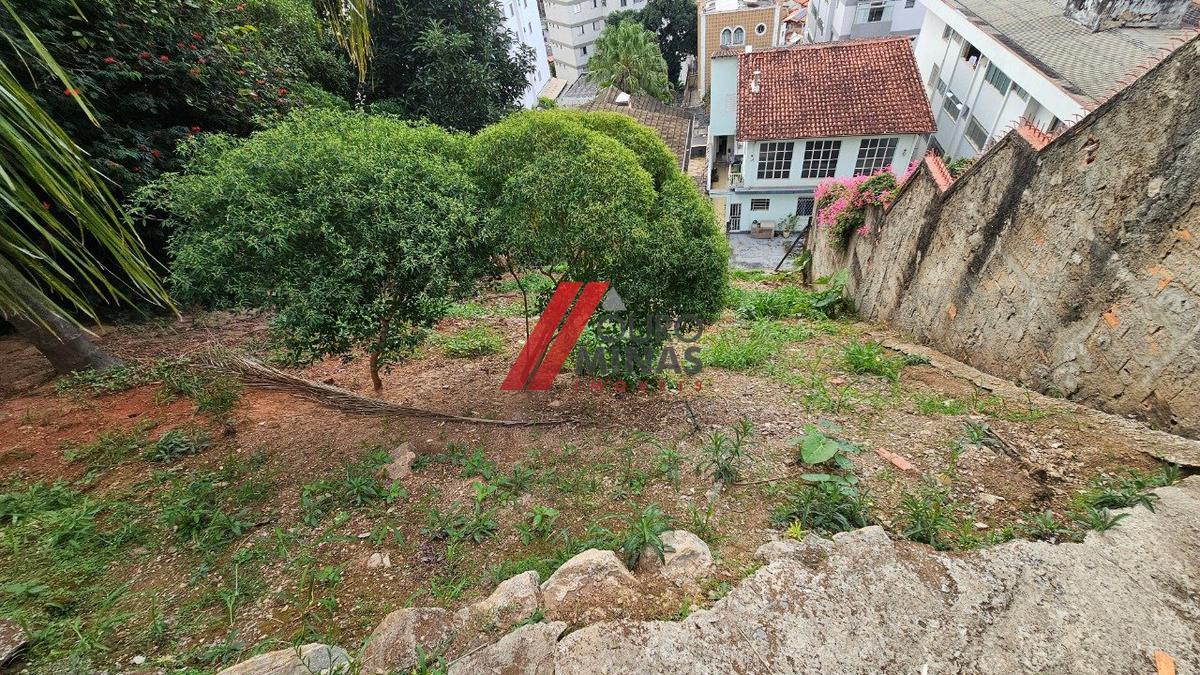 Lote, São Lucas