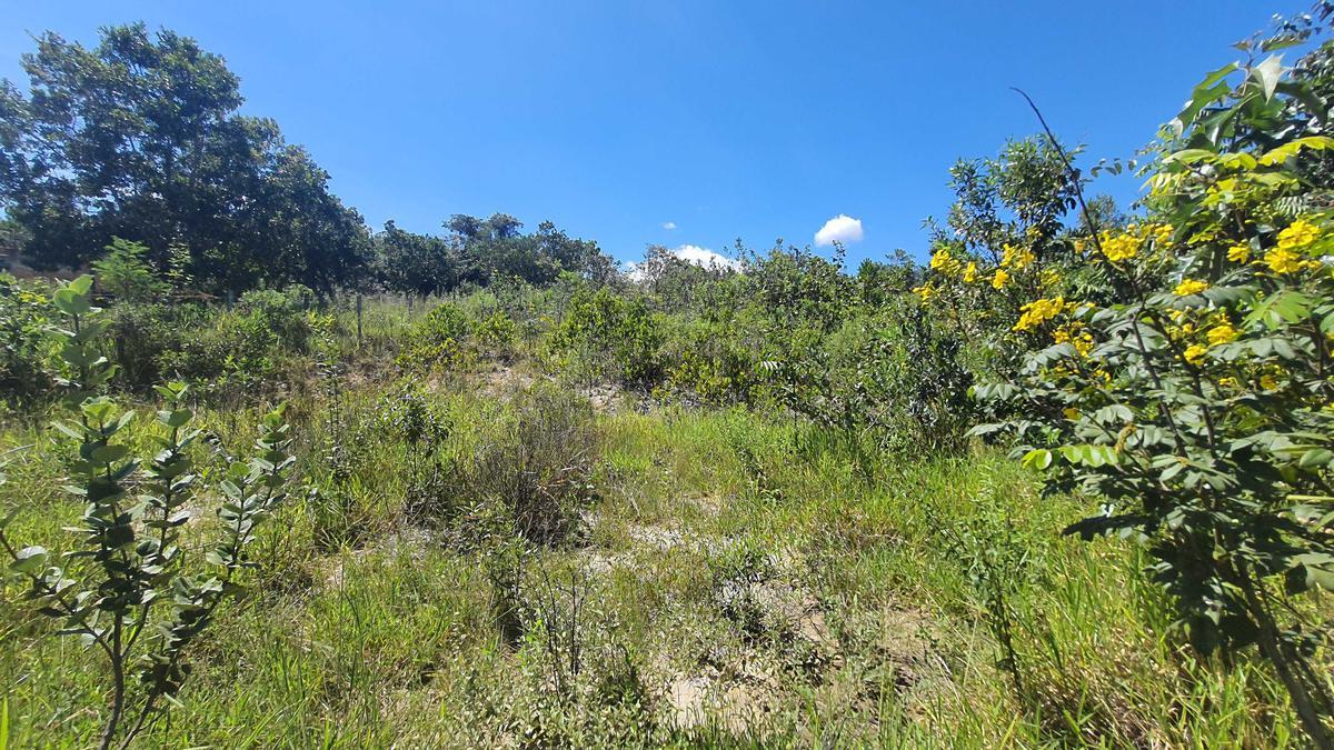 Lote, Ravena, 0 Quarto, 0 Vaga