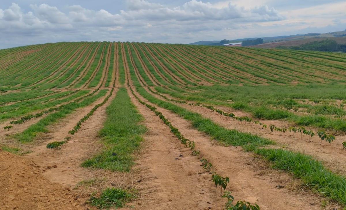 Fazenda, Zona Rural, 0 Quarto, 0 Vaga