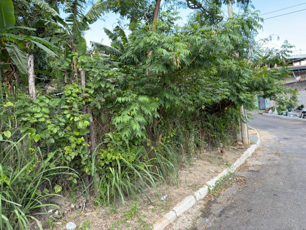 Lote, Nações Unidas, 0 Quarto, 0 Vaga