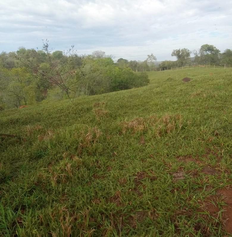 Fazenda, Urucuia, 3 Quartos, 0 Vaga, 1 Suíte