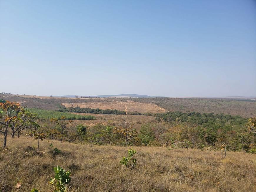 Fazenda, Centro, 0 Quarto, 0 Vaga