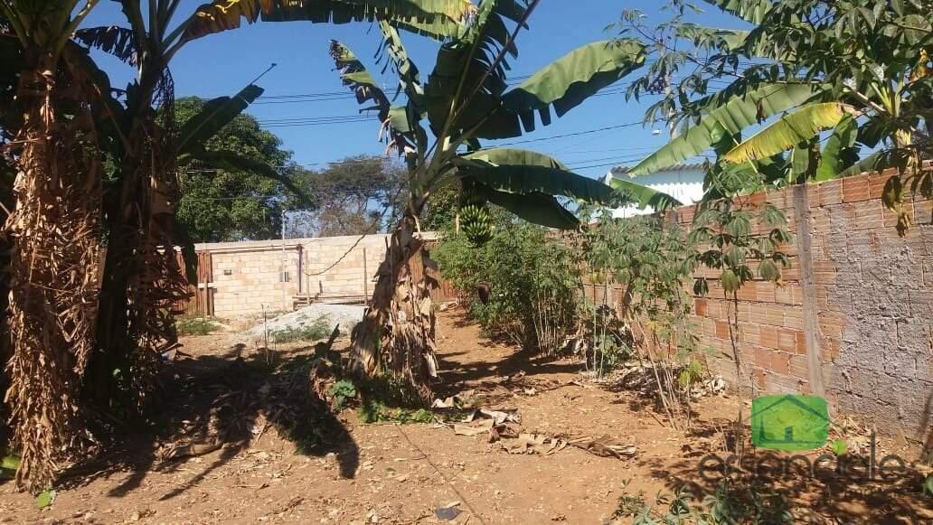 Lote, Citrolândia, 0 Quarto, 0 Vaga