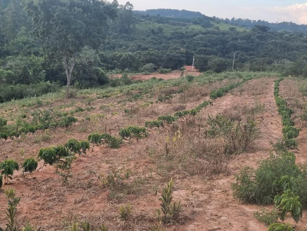Fazenda, Zona Rural, 0 Quarto, 0 Vaga