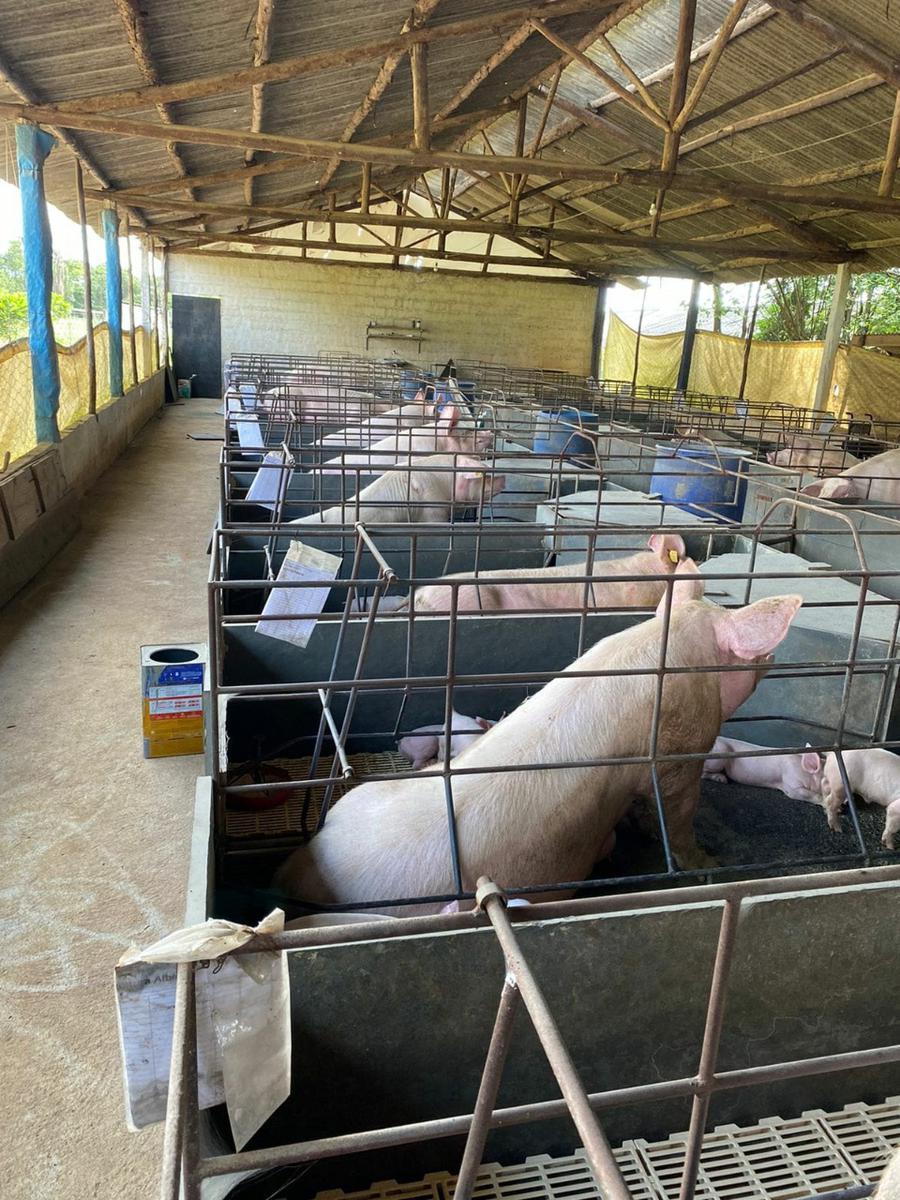 Fazenda, Zona Rural, 3 Quartos, 0 Vaga, 1 Suíte