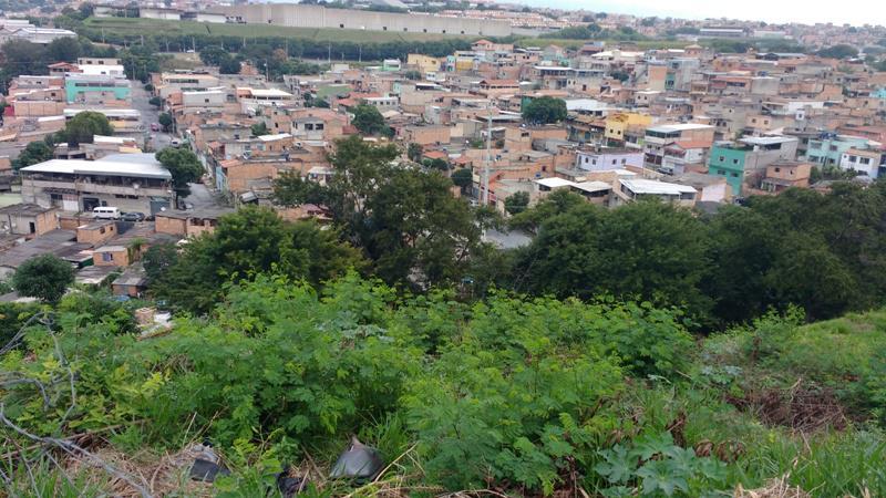 Lote, Novo Santa Cecília (barreiro), 0 Quarto, 10 Vagas