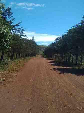 Lote, Água Limpa, 0 Quarto, 0 Vaga