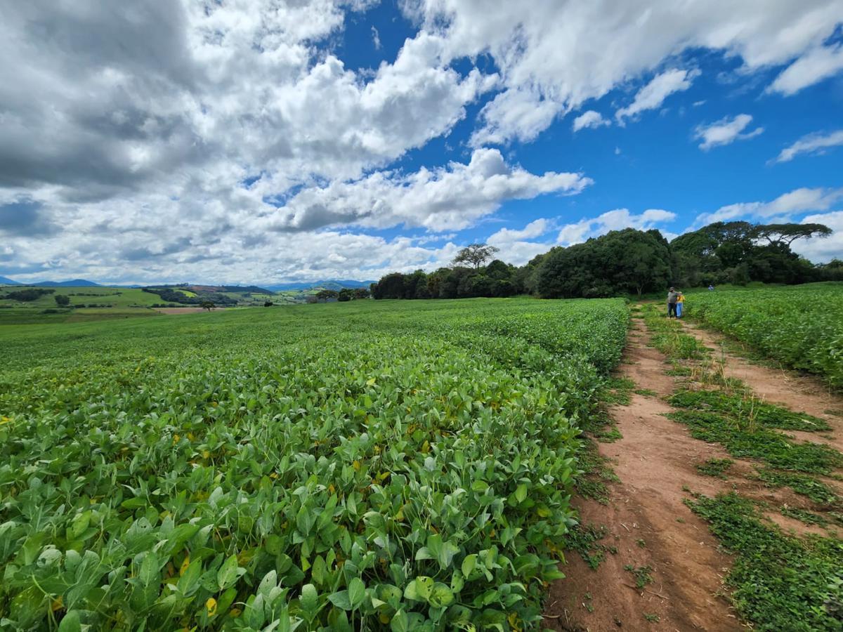 Fazenda, Centro, 1 Quarto, 1 Vaga, 1 Suíte
