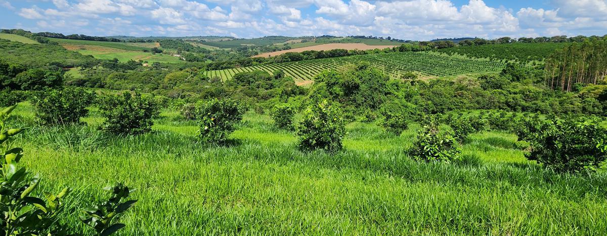 Fazenda, Zona Rural, 3 Quartos, 2 Vagas, 1 Suíte
