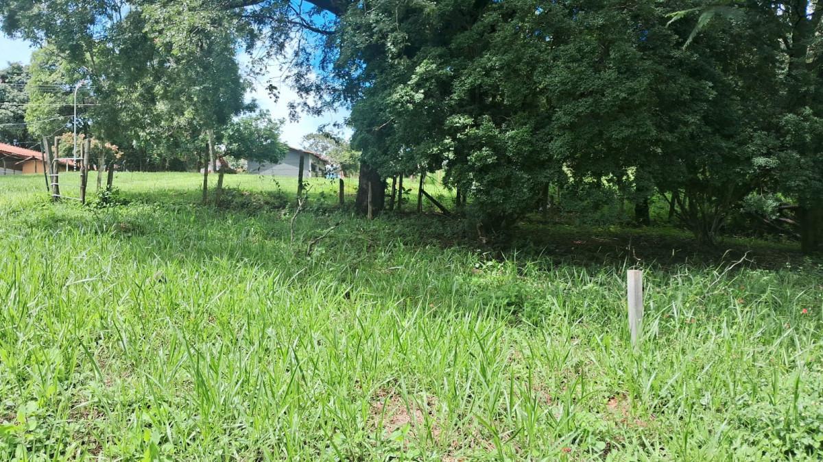 Lote, Parque Jardim Encantado, 0 Quarto, 0 Vaga