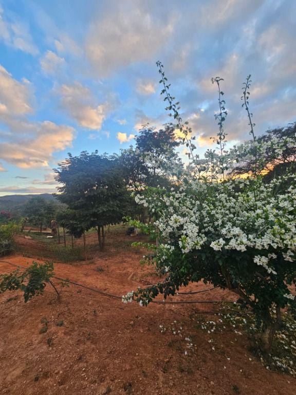 Fazenda, Morro Vermelho, 0 Quarto, 0 Vaga