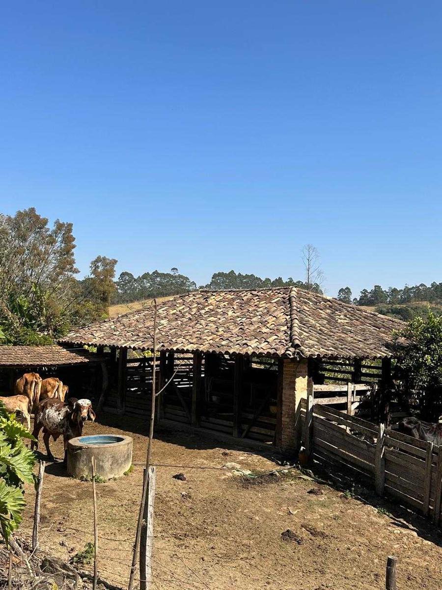 Fazenda, Zona Rural, 7 Quartos, 0 Vaga, 3 Suítes