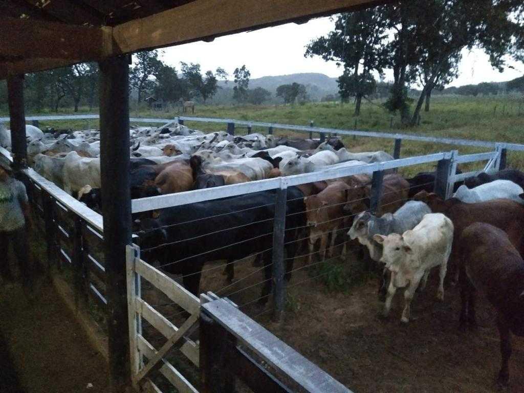 Fazenda, Zona Rural, 3 Quartos, 0 Vaga