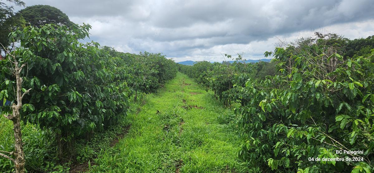Fazenda, Centro, 2 Quartos, 1 Vaga, 1 Suíte