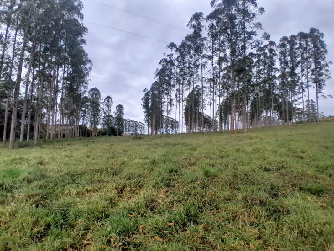 Fazenda, Zona Rural, 0 Quarto, 0 Vaga
