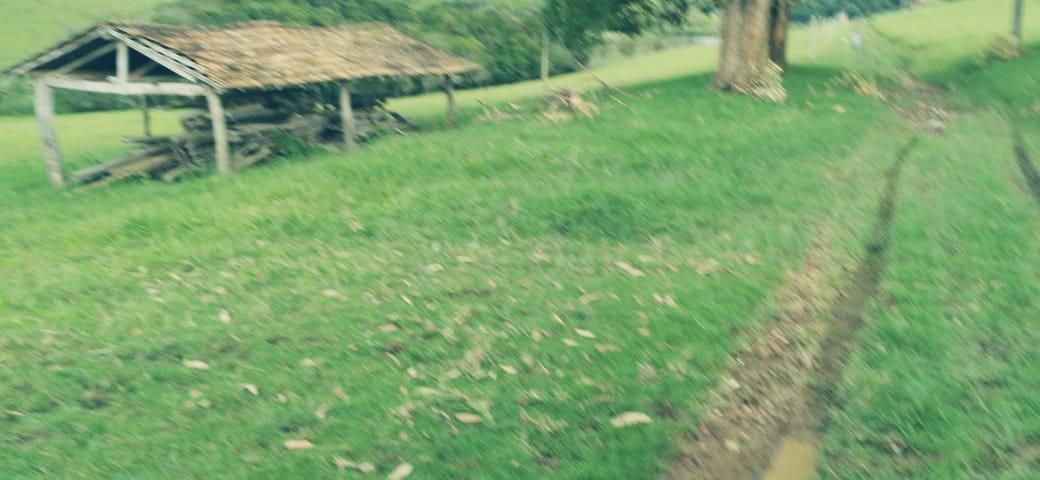 Fazenda, Zona Rural, 3 Quartos, 0 Vaga