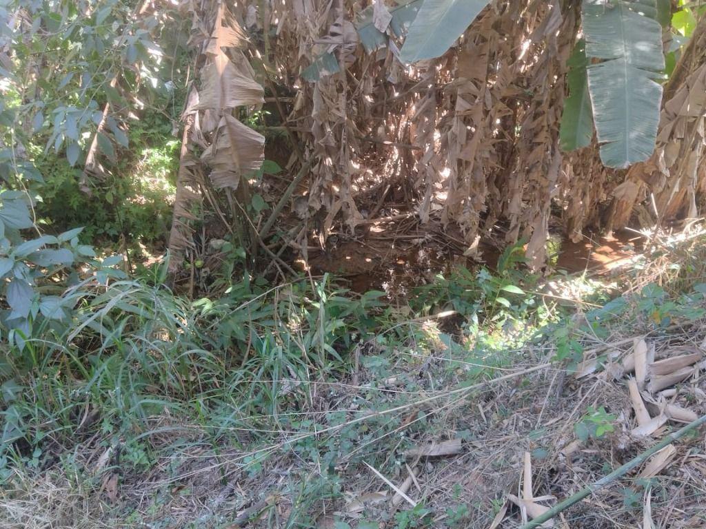 Lote, Esplanada, 0 Quarto, 0 Vaga