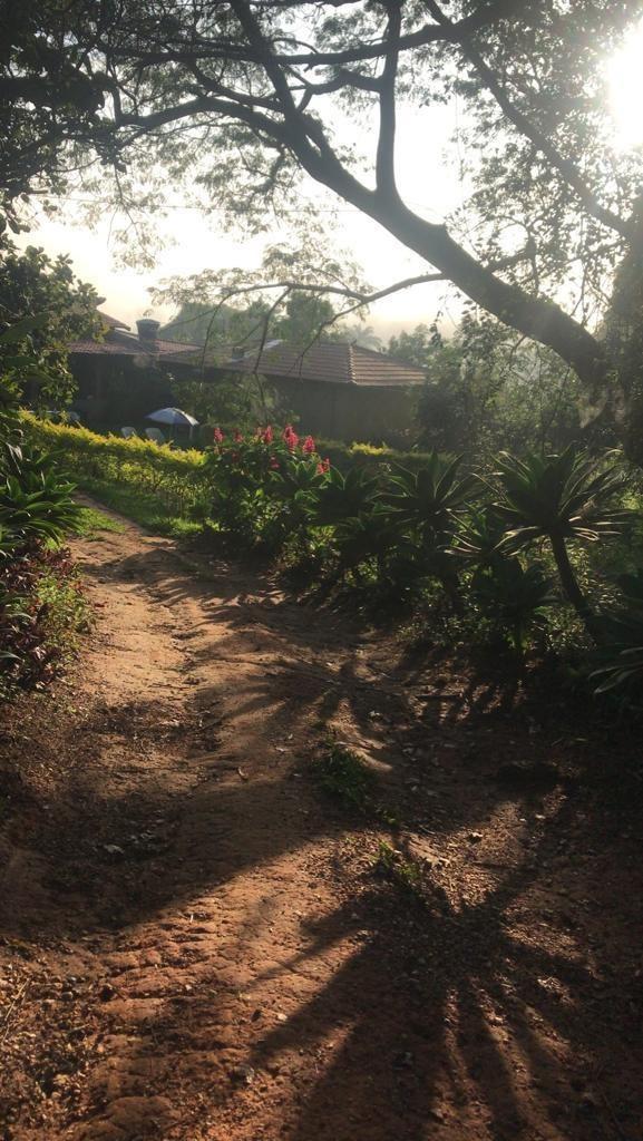 Fazenda, Área Rural de Pará de Minas, 3 Quartos, 0 Vaga, 1 Suíte