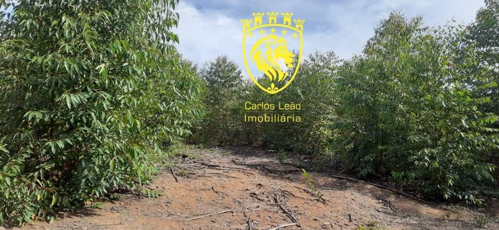 Fazenda, Centro, 0 Quarto, 0 Vaga