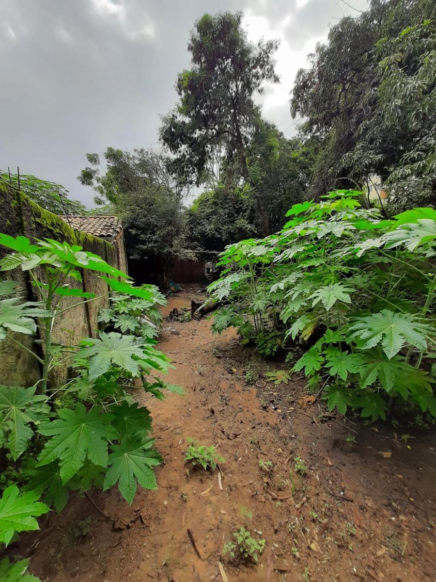 Lote, Alvorada, 0 Quarto, 0 Vaga