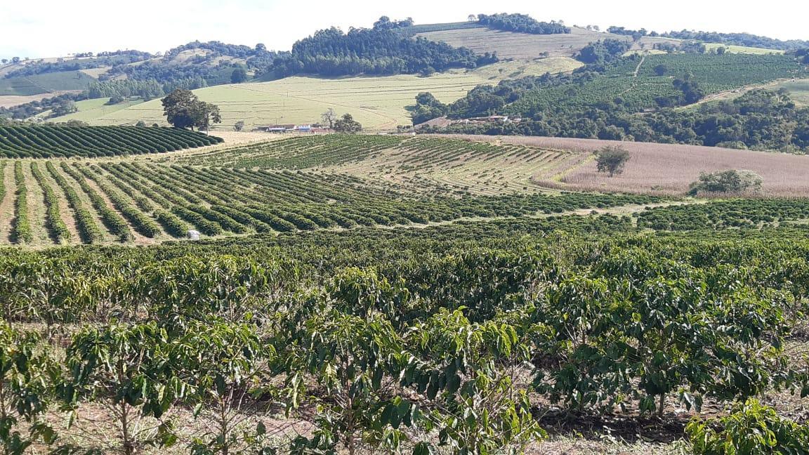 Fazenda, Centro, 3 Quartos, 1 Vaga