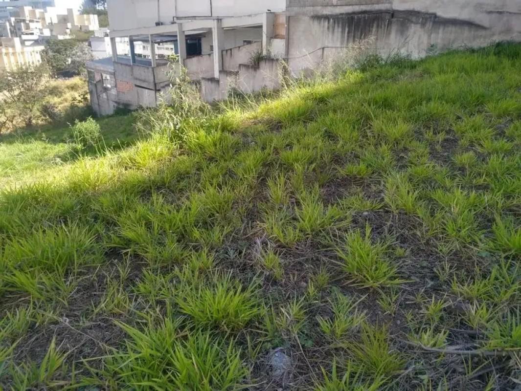 Lote, Estoril, 0 Quarto, 0 Vaga