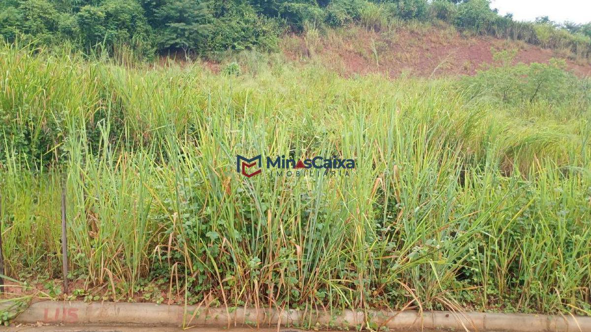 Lote, Novo Horizonte, 0 Quarto, 0 Vaga