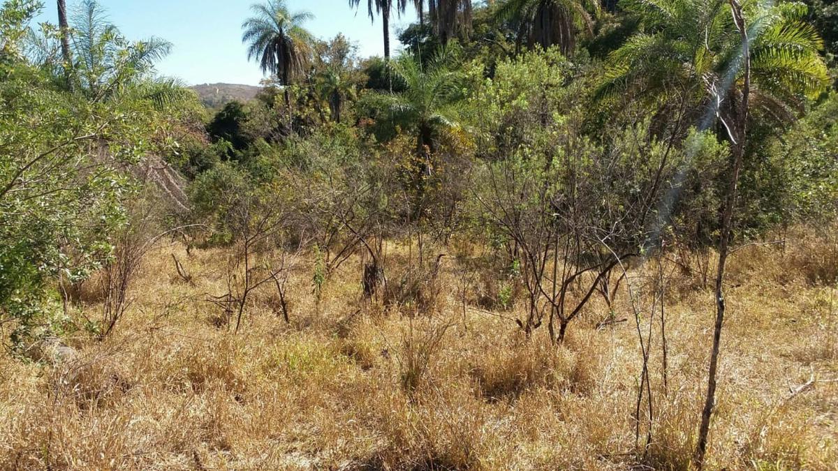 Lote, Zona Rural, 0 Quarto, 0 Vaga