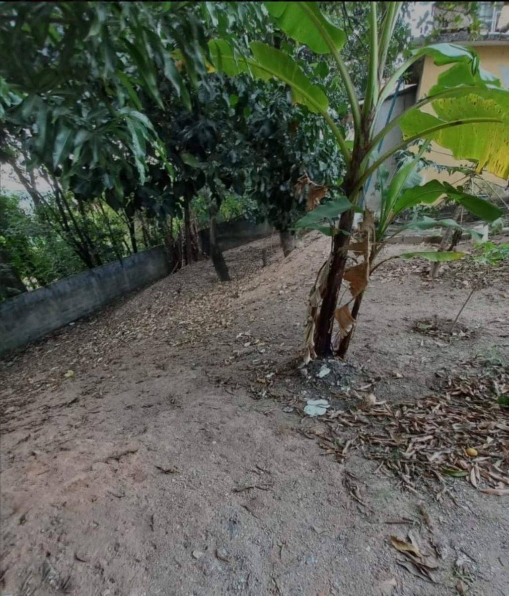 Lote, São Francisco, 0 Quarto, 0 Vaga