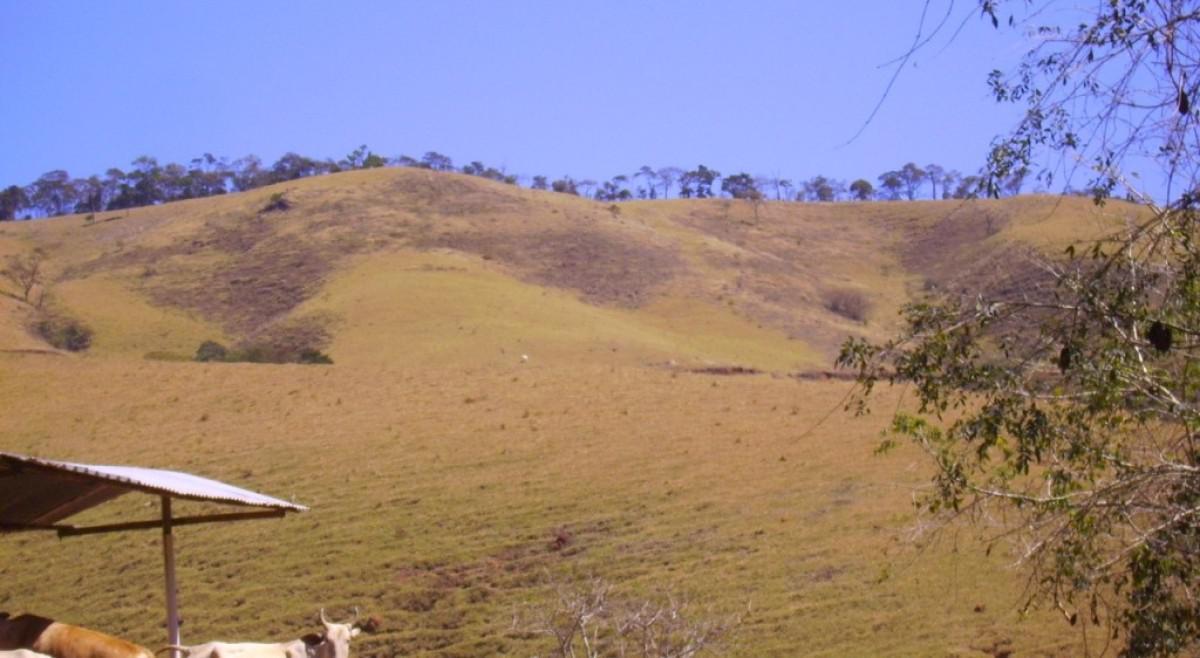 Fazenda, Zona Rural, 0 Quarto, 0 Vaga