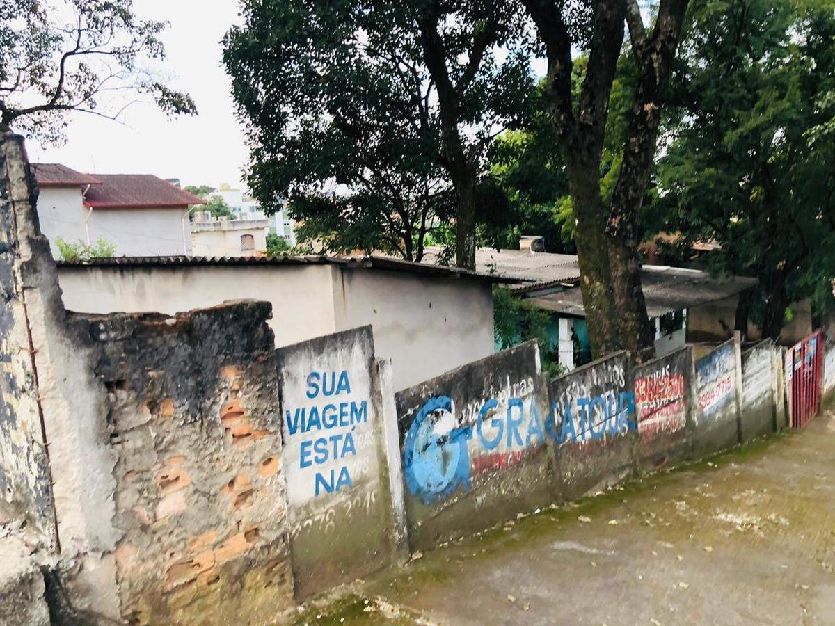 Lote, Palmeiras