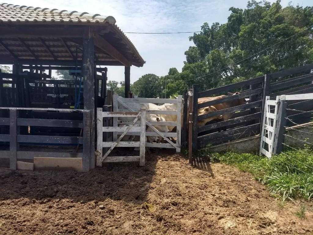 Fazenda, Zona Rural, 3 Quartos, 0 Vaga