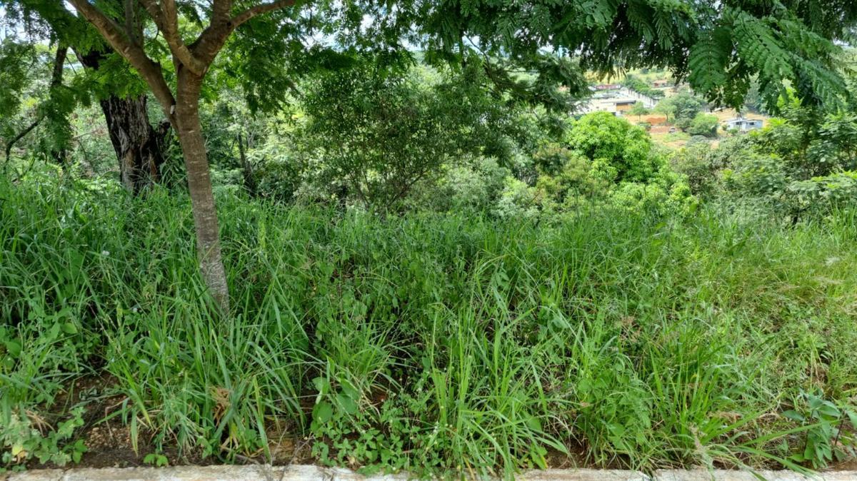 Lote, Centro, 0 Quarto, 0 Vaga
