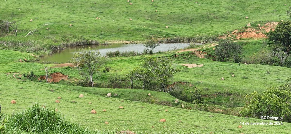 Fazenda, Centro, 3 Quartos, 0 Vaga