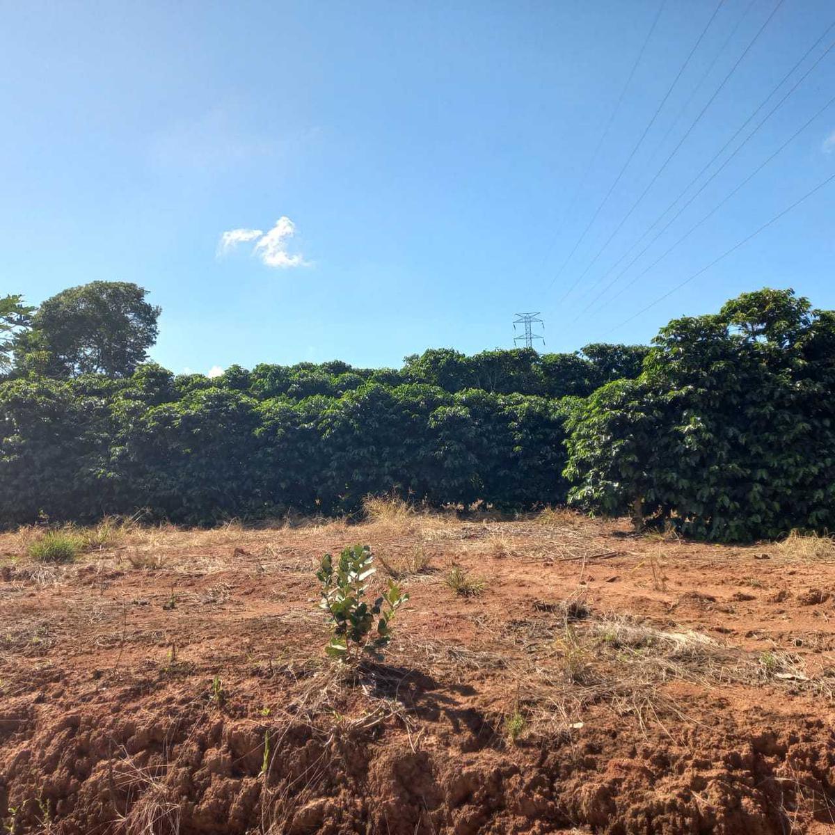 Fazenda, Zona Rural, 0 Quarto, 0 Vaga